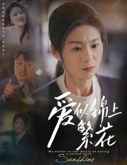 爱似锦上繁花（60集全）邹佳颖＆陈思琦 - 紫橙阁短剧