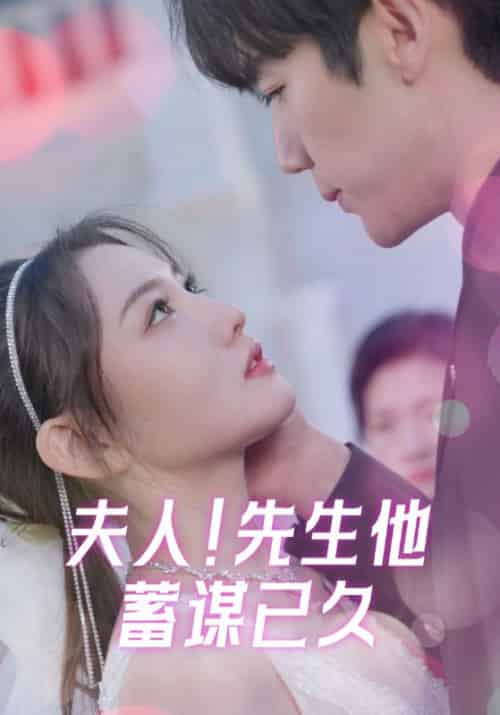 夫人！先生他蓄谋已久（99集全）陆宴时＆叶南笙 - 紫橙阁短剧
