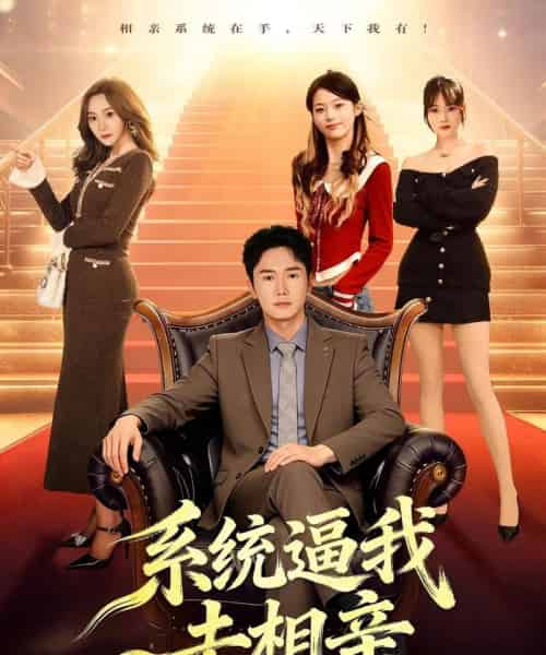 系统逼我去相亲（67集全）许顺利＆鹿子祺-紫橙网创项目网