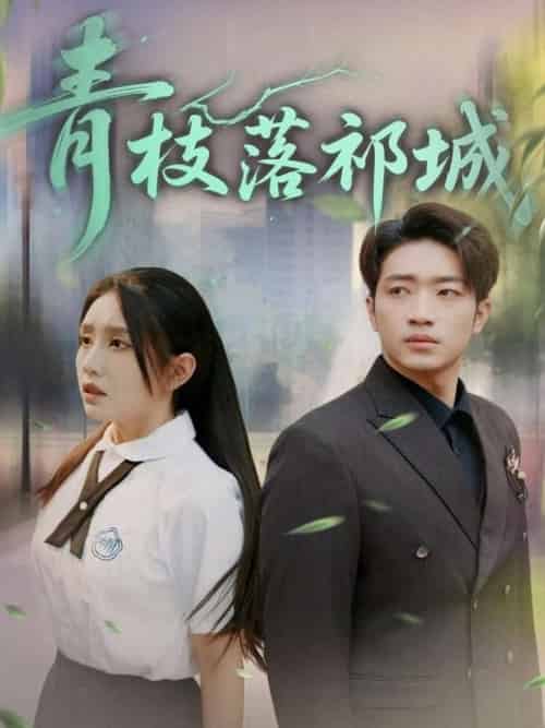 青枝落祁城（71集全）陈坤＆朱心怡 - 紫橙阁短剧