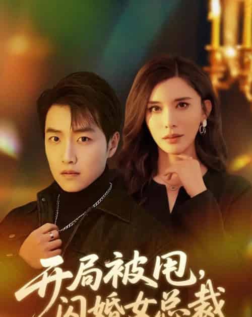 开局被甩，闪婚女总裁（80集全）任志鹏＆王希如-紫橙网创项目网