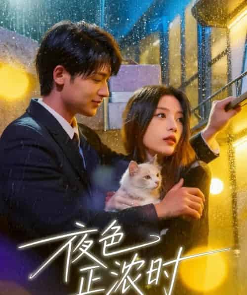 夜色正浓时（32集全）徐梅＆谭伟英＆博之-紫橙网创项目网