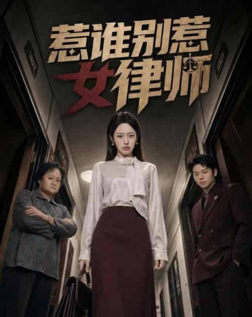 惹谁别惹女律师(61集全)胡继月&刘广平-紫橙网创项目网