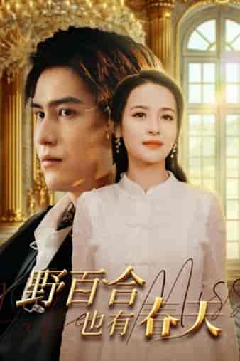 野百合也有春天（85集）王霭玲 - 紫橙阁短剧