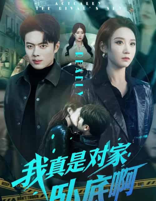 我真是对家卧底啊（100集全）林千仟＆韩一波-紫橙网创项目网