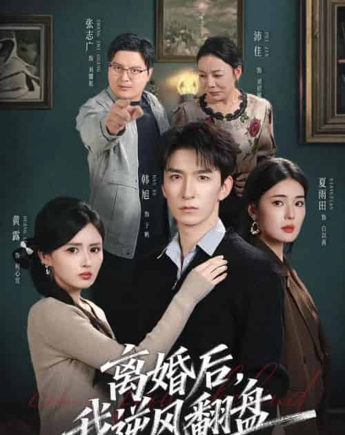 离婚后,我逆风翻盘(83集全)韩旭&黄露-紫橙网创项目网