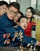 冒牌亲家（30集全）朱青青＆李炜-紫橙网创项目网