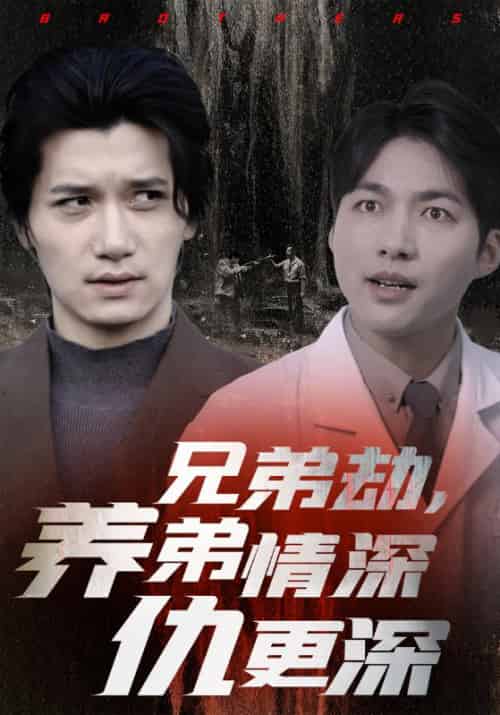 兄弟劫，养弟情深仇更深（35集全）萧凡＆萧云 - 紫橙阁短剧