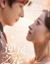 逆风之花（60集全）阿克朱力-紫橙网创项目网
