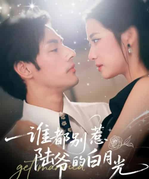 谁都别惹陆爷的白月光（79集全）潘子剑＆段柒萱 - 紫橙阁短剧