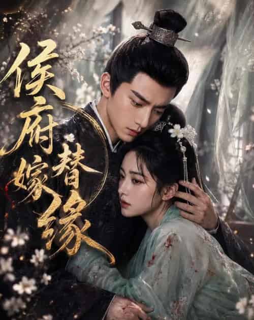 侯府替嫁缘(53集全)AI-紫橙网创项目网