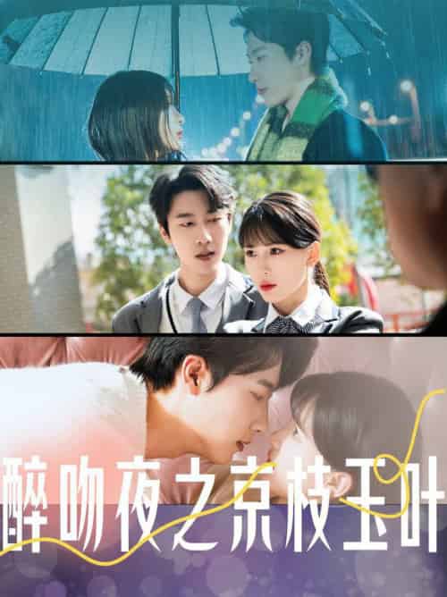 醉吻夜之京枝玉叶（90集全）张韫韬＆杨洁 - 紫橙阁短剧