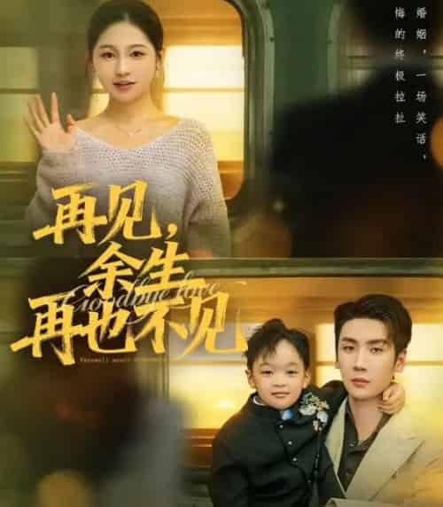 再见，余生再也不见（89集全）刘博洋＆崔秀子 - 紫橙阁短剧