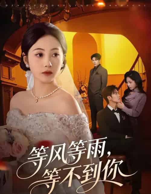 等风等雨，等不到你（65集全）陈京霖＆曾和惠子-紫橙网创项目网