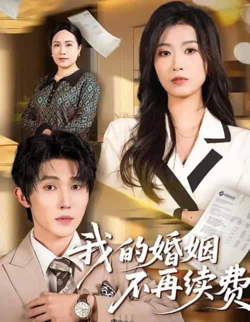 我的婚姻不再续费(61集全)朱宸钧&虞彤彤-紫橙网创项目网