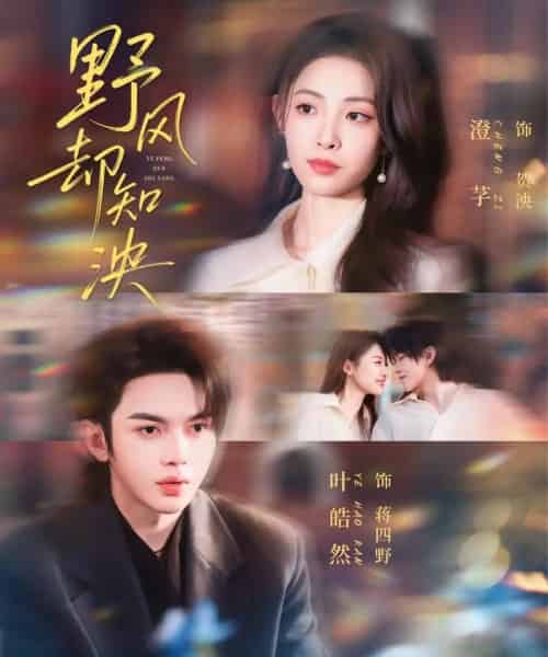 野风却知泱（80集全）叶皓然＆澄芓-紫橙网创项目网