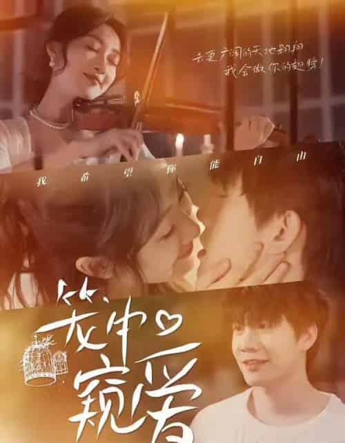 笼中窥爱（68集全）陈敬德＆海依凡-紫橙网创项目网