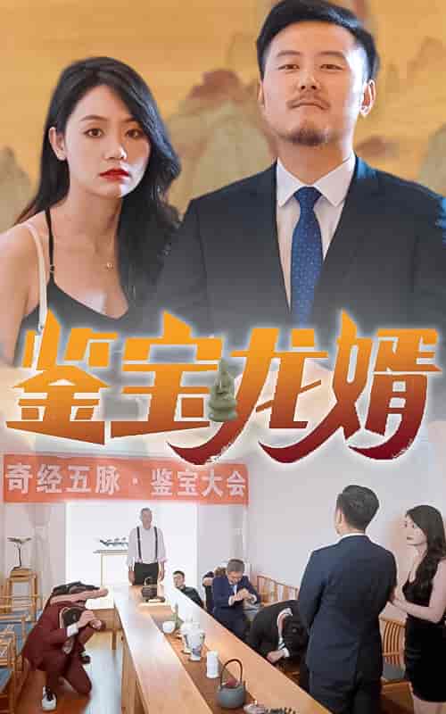 鉴宝龙婿-80集 - 紫橙阁短剧