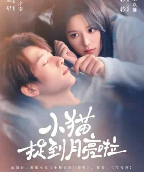 小猫捉到月亮啦（80集全）甘望星＆徐轸轸-紫橙网创项目网