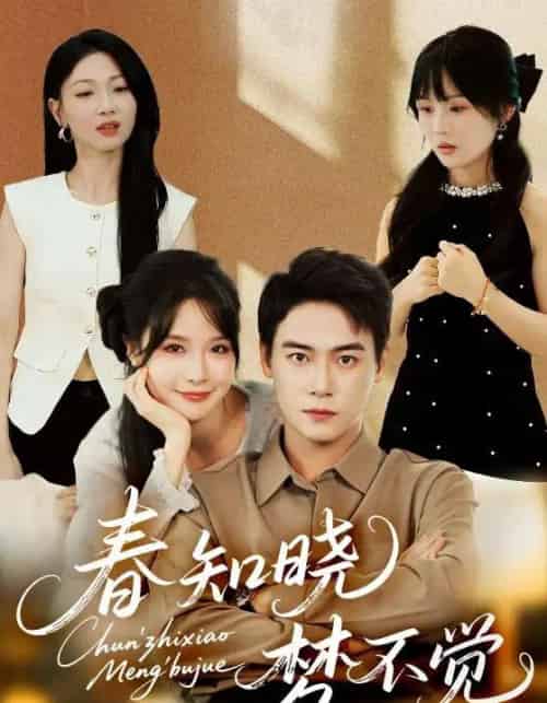 春知晓梦不觉 春知晓梦不觉