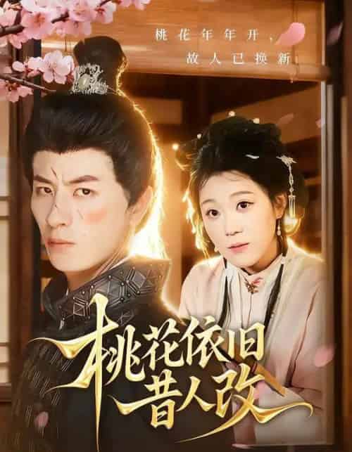 桃花依旧昔人改（72集全）安敏＆刘定琛-紫橙网创项目网