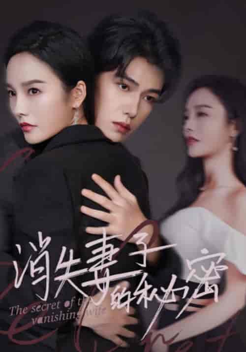 消失妻子的秘密（60集全）苏译＆梁云歌-紫橙网创项目网