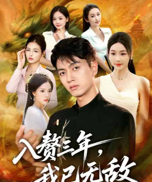 入赘三年,我已无敌 入赘三年,我已无敌