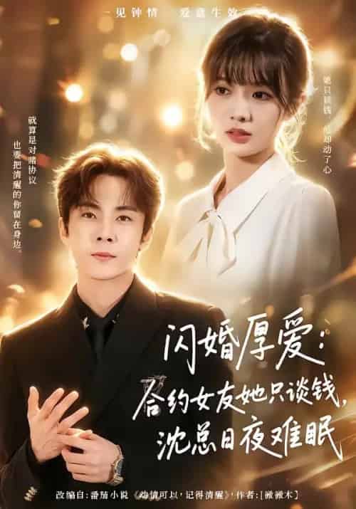 闪婚厚爱:合约女友她只谈钱,沈总日夜难眠 闪婚厚爱:合约女友她只谈钱,沈总日夜难眠