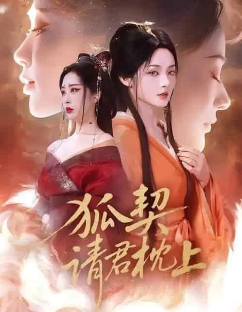 狐契：请君枕上（81集全）毛祁生＆觅七-紫橙网创项目网