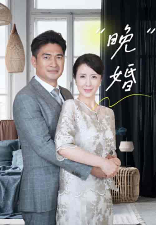 晚婚（65集全）秦鹏海＆宋秋华 - 紫橙阁短剧