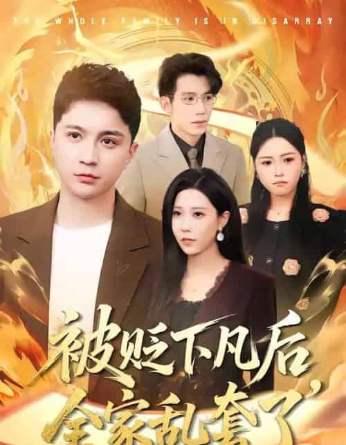 被贬下凡后，全家乱套了（88集全）建泽正＆岳舒窃-紫橙网创项目网