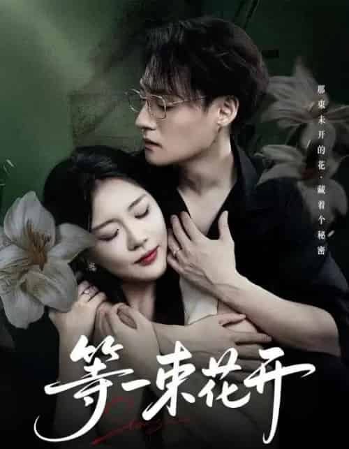 等一束花开（71集全）安敏＆强宇-紫橙网创项目网