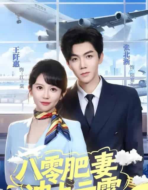 八零肥妻冲上云霄(66集全)张北淅&王阡惠-紫橙网创项目网