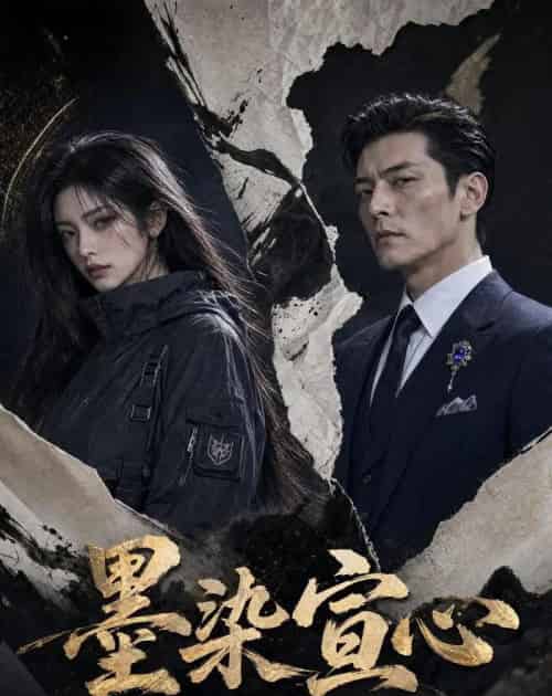 墨染宣心(35集全)AI-紫橙网创项目网