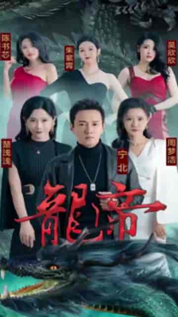 大夏龙帝（67集） - 紫橙阁短剧