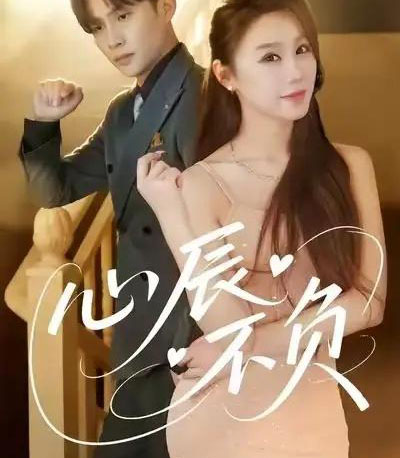 心辰不负（64集全）于文婧＆张怀文-紫橙网创项目网