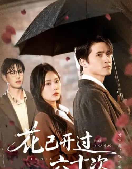 花已开过六十次＆情敌交手她选择躺赢（72集全）傅汉源＆赵佳欣-紫橙网创项目网