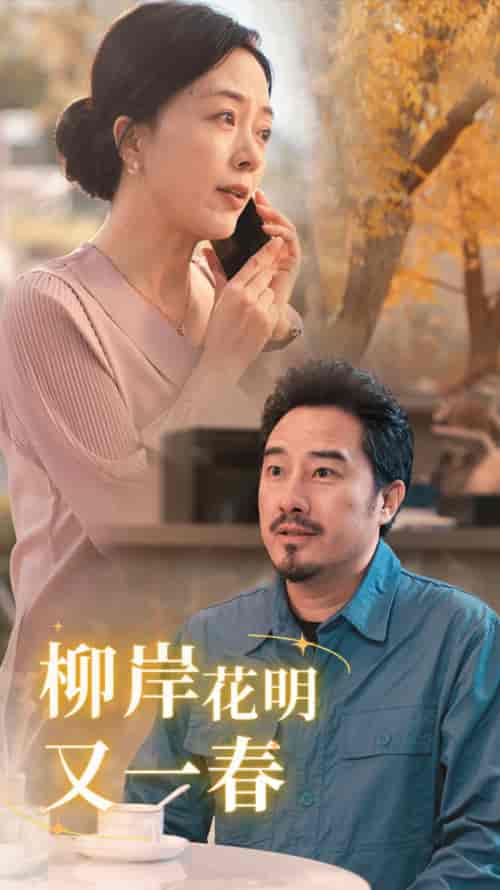 柳暗花明又一春（40集全） - 紫橙阁短剧