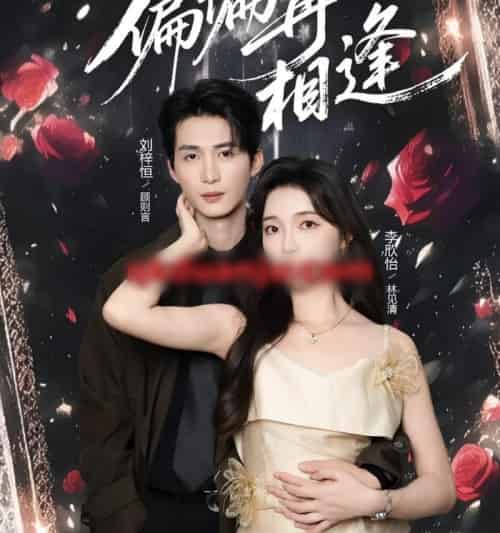 偏偏再相逢（54集全）刘梓恒＆李欣怡-紫橙网创项目网