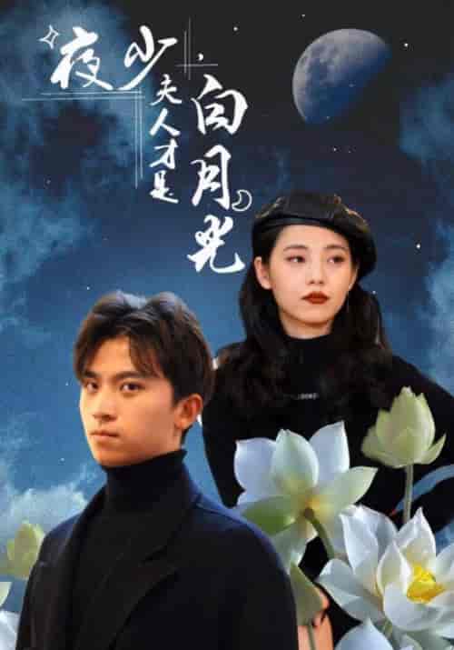 夜少，夫人才是白月光（101集全）夜南天＆慕容嫣 - 紫橙阁短剧