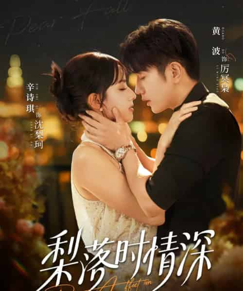 梨落时情深（60集全）黄波＆辛诗琪-紫橙网创项目网