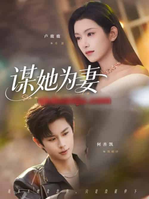 谋她为妻（82集全）何善凯＆卢鹿鹿-紫橙网创项目网