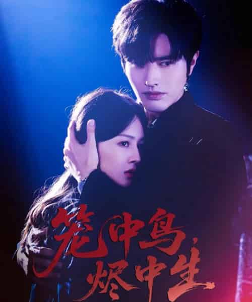 笼中鸟,烬中生 笼中鸟,烬中生