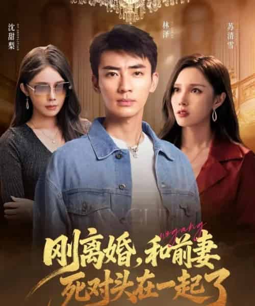 刚离婚和前妻死对头在一起 （73集） - 紫橙阁短剧