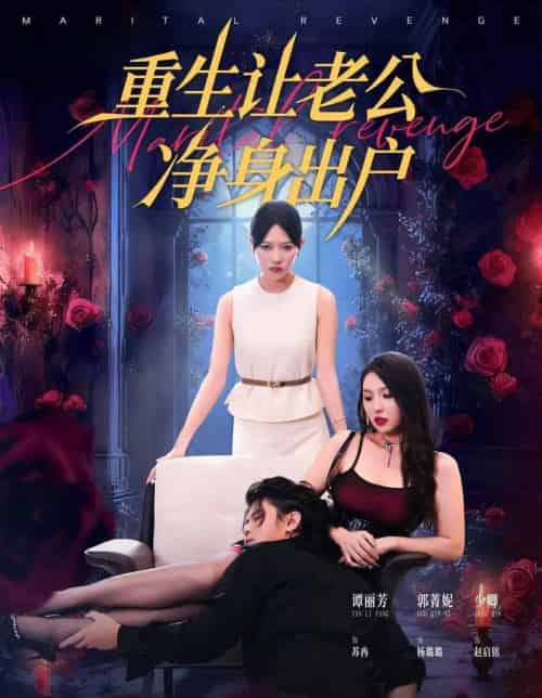 重生让老公净身出户（42集全）周航＆谭丽芳-紫橙网创项目网