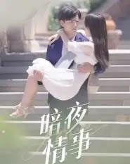 暗夜情事(100集全)李豪&朱梦怡-紫橙网创项目网