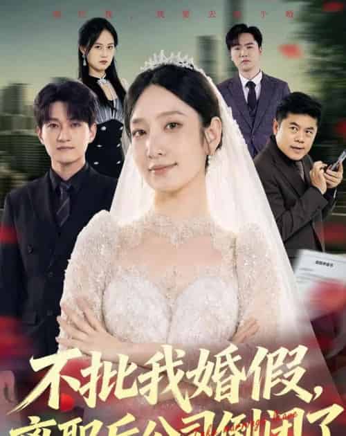 不批我婚假,离职后公司倒闭了(61集全)陈琳煜&海睿-紫橙网创项目网