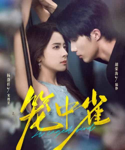 笼中雀(65集全)胡荣涛&杨洛仟-紫橙网创项目网