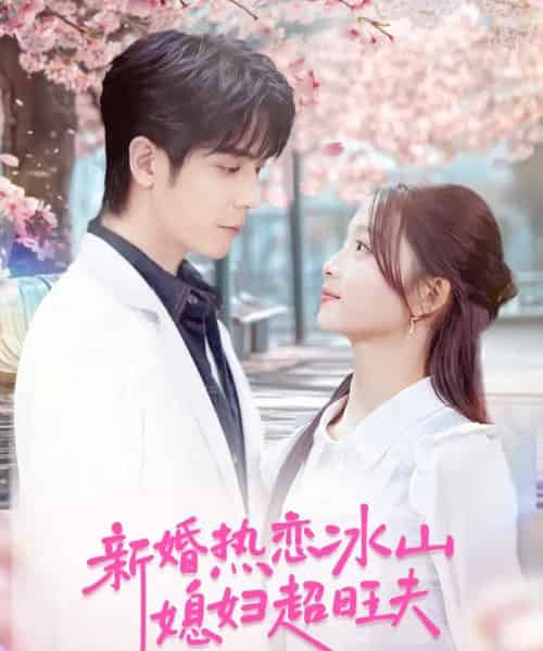 新婚热恋冰山媳妇超旺夫（60集全）李嘉豪＆刘苗苗-紫橙网创项目网