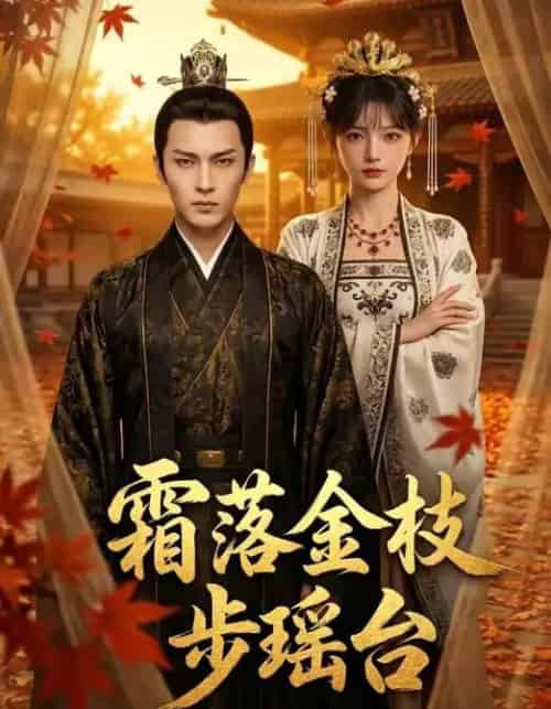 霜落金枝步瑶台（61集全）AI-紫橙网创项目网